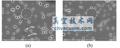 硅襯底上無微裂稀反極性疇AlN 薄膜的分子束外延研究